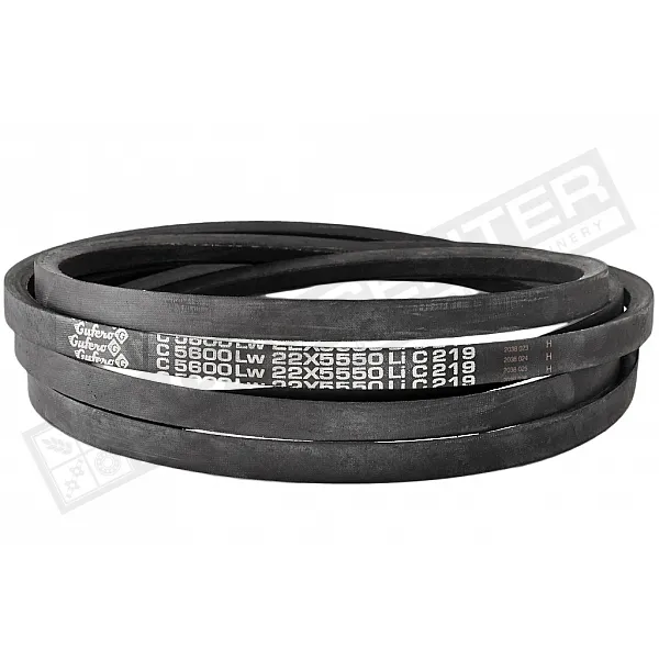 C22 5600Lw-5550Li Пас V-образный ( 301597 ) GUFERO - 1