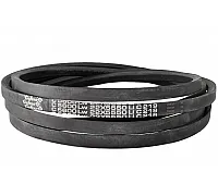 C22 5600Lw-5550Li Belt V-type ( 301597 ) GUFERO