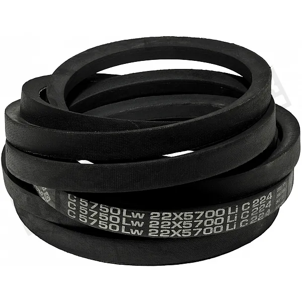 C22 5750Lw-5700Li Пас V-образный ( 301600 ) GUFERO - 1