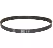 8PK0880 Poly-V belt DAYCO, 51968200238, 51968200238