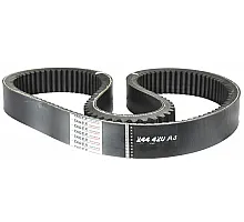 244420A3 Пас Tagex