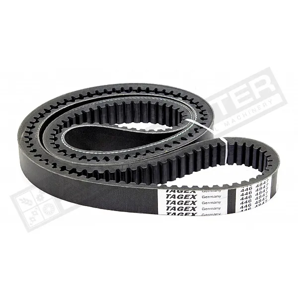 4464847 Belt Tagex - 1