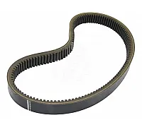 619146.0 Belt Tagex, 619146