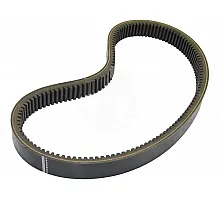 619146.0 Belt Tagex, 619146