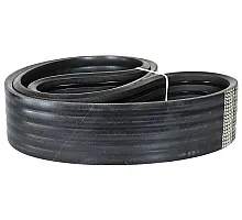 644018.1 Belt Tagex, 644018