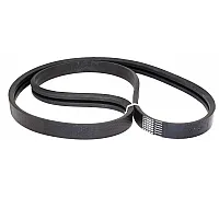 667251.1 Drive belt [Claas] Tagex, 667251