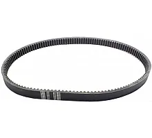 671083.0 Belt Tagex, 671083, 629756.0