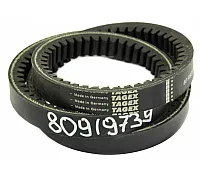 80919739 Ремень Tagex