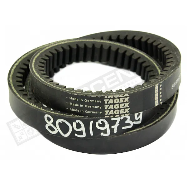 80919739 Пас Tagex - 1