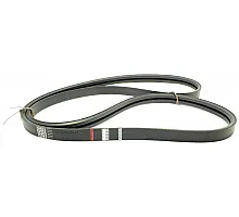 84435035 Belt Tagex