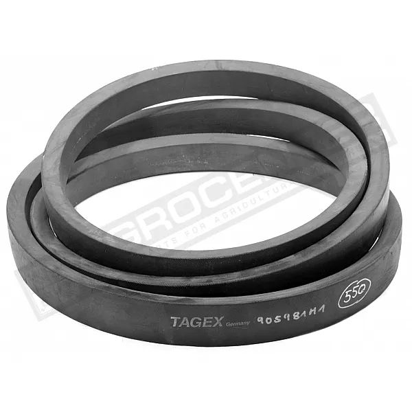 905981M1 Пас Tagex - 1