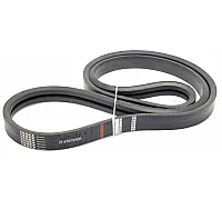 D41979100 Belt Tagex