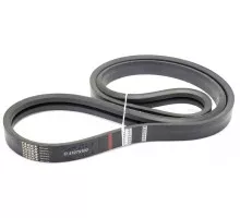 D41979100 Belt Tagex