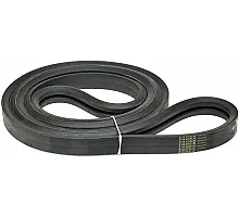 D41990049 Belt Tagex