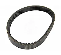 D41994300 Belt Tagex