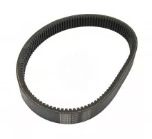 D41994300 Belt Tagex