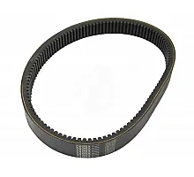D41994300 Пас Tagex