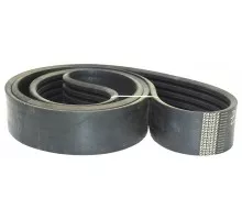 Z46463 Пас Tagex