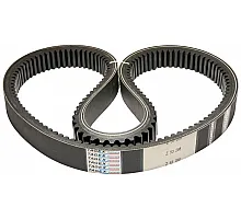 Z53288 Пас Tagex