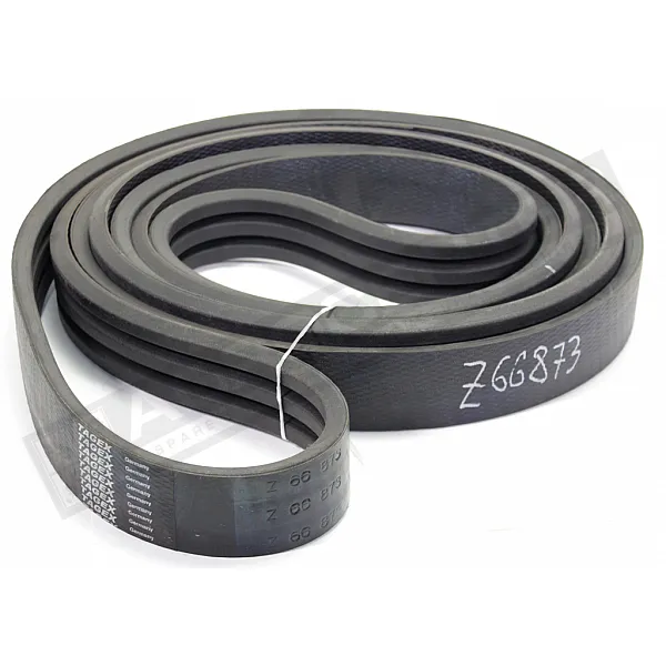 Z66873 Пас Tagex 3HB - 1