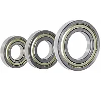 16007 ZZ CX Bearing