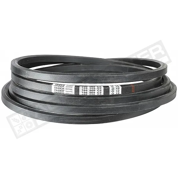 186509C2 Ремень шестигранный Tagex - 1
