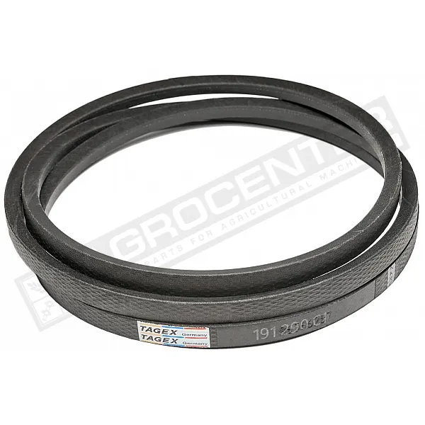 191290C1 Пас Tagex, 80753053 - 1