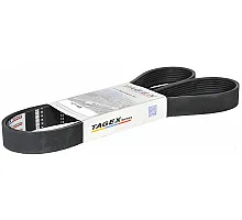 A77938 Пас Tagex, J911572