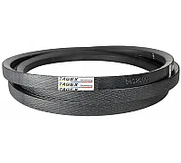 84000189 Пас Tagex, 84026668