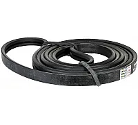 D41978900 Belt Tagex