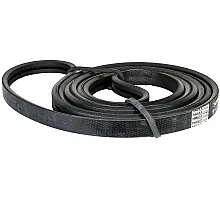 D41978900 Пас Tagex