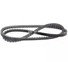 D41991200 Belt Tagex