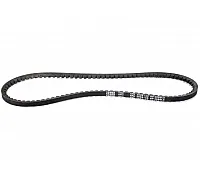 R71603 Belt Tagex