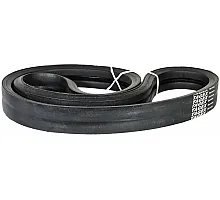 H153297 Пас Tagex