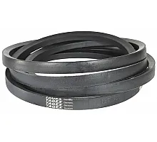 H125381 Пас Tagex