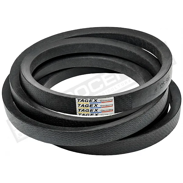 H125565 Пас Tagex - 1