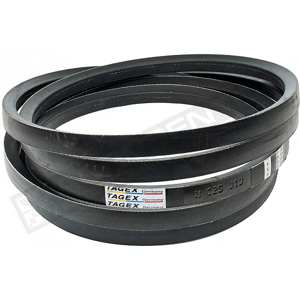 H128010 Пас Tagex - 1
