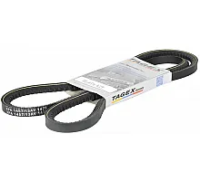 H134437 Belt Tagex