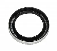 AP19572 Shaft seal