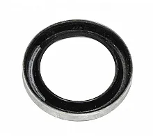 AP19572 Shaft seal
