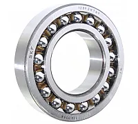 1209 EKTN9 Підшипник SKF