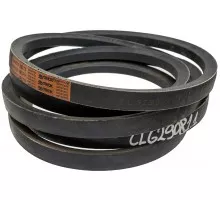 629081.1 Belt HARVEST BELTS [Claas], 629081