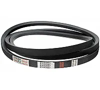 87642957 Belt [CASE] Tagex, 80066232