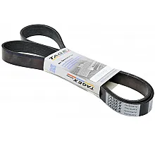 J911559 Belt Tagex
