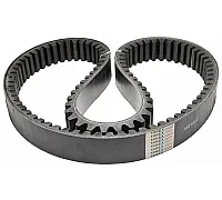 665832.0 Belt Tagex [Claas], 665832