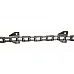 16063151 Roller chain [Deutz-Fahr] Tagex - 2