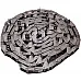 87756003 Elevator chain Tagex [New Holland] - 1