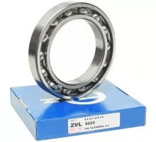 6020 Підшипник ZVL