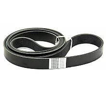 796786.0 Belt Tagex [Claas], 796786, H174455