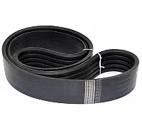 D41978300 Belt Tagex